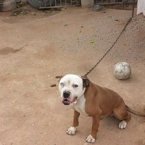 Meet your Posher, Raul